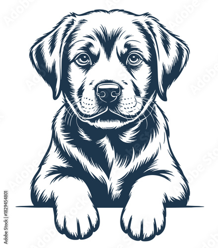 Detailed Line Art of Sitting Labrador Puppy on White Background