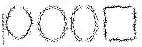 thorn stem vine plant with spikes simple border frame oval