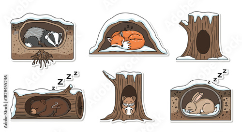Cute sleeping animals in snowy dens hibernation scene perfect for children's books or winter themed designs