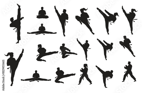 Taekwondo Vector icon design