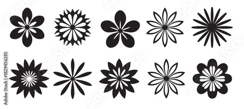  ten black and white floral designs set traced line art 