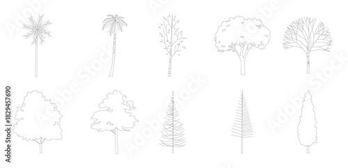 tree line drawing side view graphics trees elements single 