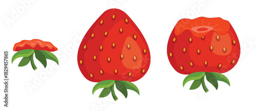 strawberry eating steps icon set stages of biting red berry