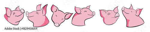 The Pig cartoon style for food or animal concept
