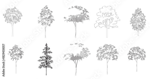 ree line drawing side view graphics trees elements single