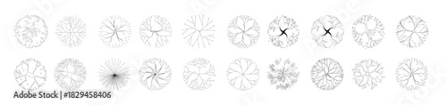 tree plan plant landscape architecture nature park garden 