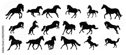 the set of horse silhouette collection