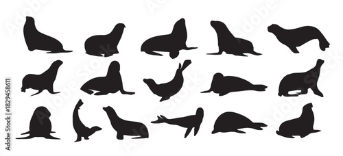 the set of seal fish silhouette collection