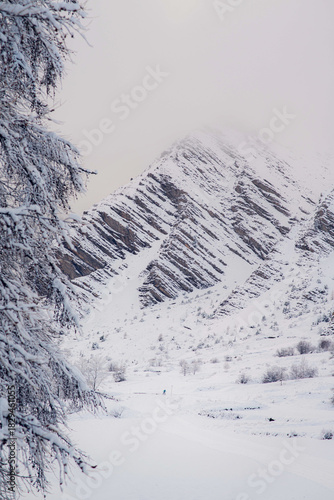 Snow-Covered Winter Forest with skier in the Mountains at Sunrise