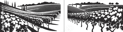 Vineyard landscape silhouettes, grapevine rows, cultivated hills, editable vector, black icons, rural scenery, agricultural design, nature view, organic farming, countryside