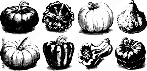 Vintage black pumpkin illustrations in a retro style. Hand-drawn vector illustration in a set with various shapes and textures.