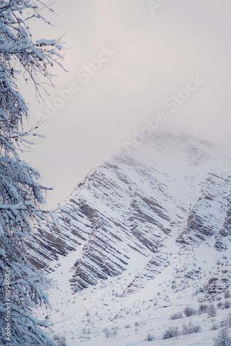 Snow-Covered Winter Forest in the Mountains at Sunrise