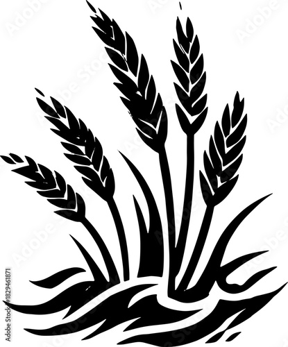 Wheat plant engraving in vintage style. Simple black and white vector illustration showcases natural beauty and agriculture theme.