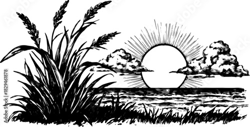 Vintage engraving of a sunset over the ocean. Detailed line drawing with grass and clouds, creating a classic vector illustration.