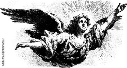 Vintage angel artwork in black and white engraving style. Detailed vector illustration depicting a celestial figure with wings.
