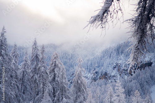 Snow-Covered Winter Forest in the Mountains at Sunrise