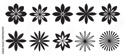 twelve black and white floral designs set traced graphic