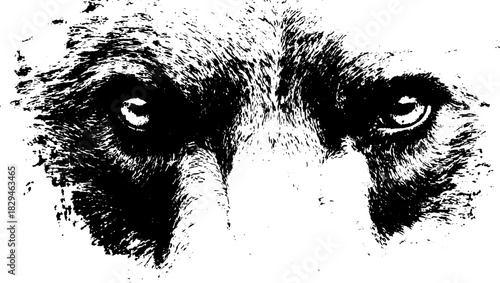 Detailed bear face illustration in black and white. This artwork features a striking monochrome vector design with emphasis on eyes and fur texture.