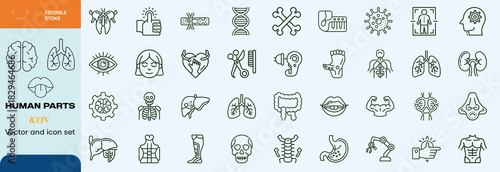  Handdrawn human parts icon set