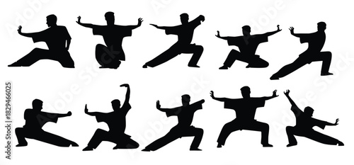 Vector set of wushu. Wushu positions. Design elements and icons