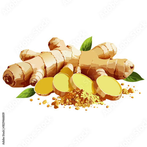 Hand-Painted Oil Texture Ginger Composition - Whole Root, Slices and Powder Vector Illustration for Artistic Culinary and Wellness Themes