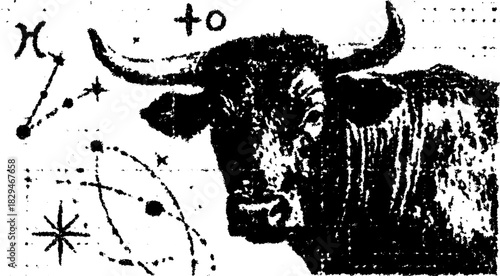 Bull symbol in black and white with zodiac constellation elements. Simple vector illustration featuring celestial patterns in a cohesive set.