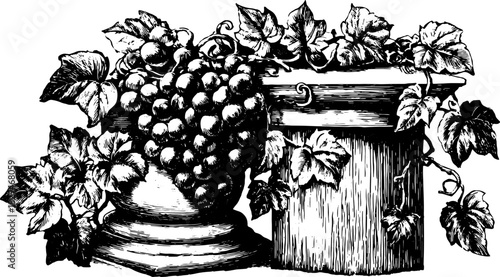 Detailed illustration of a classic column adorned with grapes and vine leaves. A black and white vector illustration featuring ornamental characteristics.