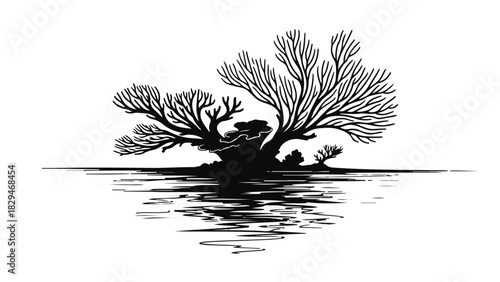 Silhouette of a majestic tree with intricate branches reflected in calm water