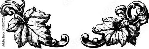 Vintage leaf and flower design in black and white. Detailed hand-drawn vector illustration showcasing ornate floral elements in a decorative set.