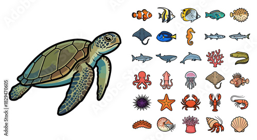 A detailed illustration of a sea turtle alongside various marine life icons.