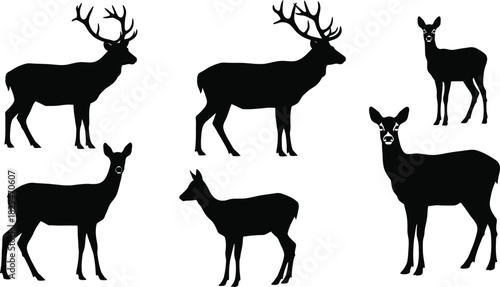 Deer and stag silhouettes vector illustration
