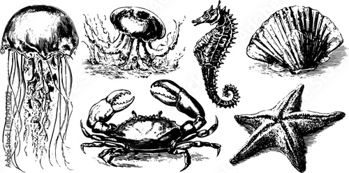 Antique sea creatures set featuring jellyfish, crab, seahorse, starfish, and shell. This hand-drawn vector illustration represents vintage aquatic life.