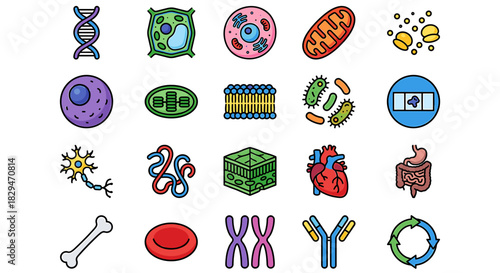 Colorful, illustrated icons representing various biological and cellular structures.