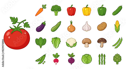 A vibrant collection of various fresh, colorful, and healthy vegetables arranged on a white background.
