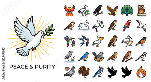 A collection of various bird illustrations, including a dove with an olive branch.