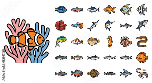Cartoon illustration showing a clownfish near coral, alongside a variety of other fish species icons.