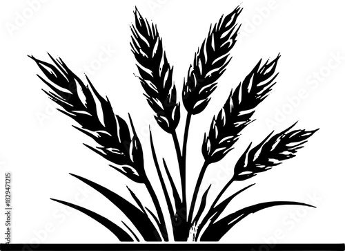 Wheat plant vector illustration in vintage outline style. Simple black drawing suitable for various design uses.