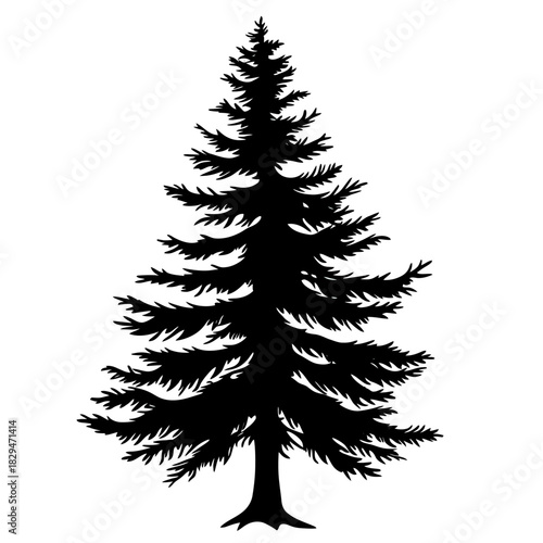 Black silhouette of a tall pine tree with layered, detailed branches isolated on white background minimalist vector illustration nature conifer evergreen