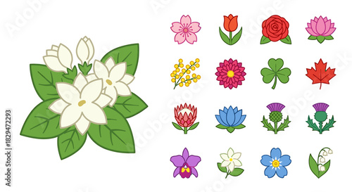 Flat lay of various colorful flower icons including roses, lilies, and tulips, arranged on a white background with a mix of green leaves.