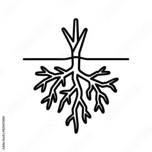 Minimalist outline icon depicting a plant's roots and stem with a ground line, symbolizing growth and foundation