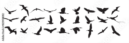 Flying birds silhouettes on white background. Vector illustration. isolated bird flying. tattoo design. vector illustration.