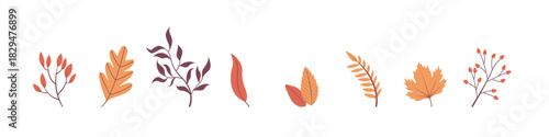 Autumn vector set of bright colorful autumn leaves. Set autumn plants and leaves minimalist flat design floral. Autumn leaves and berries botanical doodle set with umbrella and floral hand drawn fall.