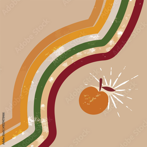 vector illustration of an orange fruit on white background