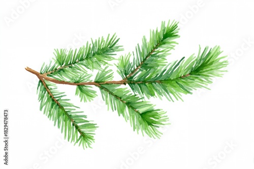 Green tree branch with green leaves