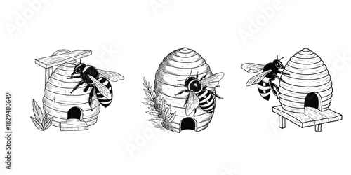 Hand drawn black and white bee hive vector illustration