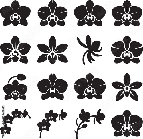 Collection of Orchid Flower Silhouettes Elegant Floral Vector Design Set