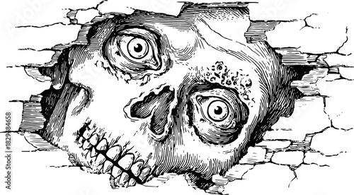 Skull illustration in line art style. Vintage engraving with detailed texture, complete in a monochrome set for graphic design or artistic uses.