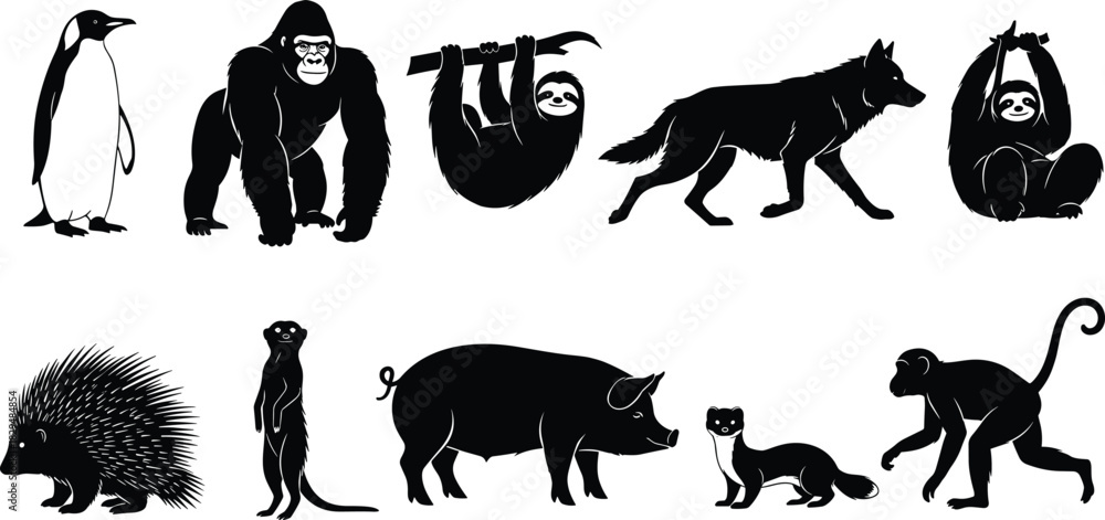 Obraz premium Animal silhouette icon set, black vector wildlife poses, penguin gorilla sloth wolf pig monkey meerkat porcupine ferret illustrations