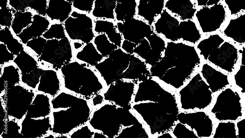 Abstract cracks pattern in black and white. Modern graphic vector illustration showcasing a distressed texture design in a seamless set.
