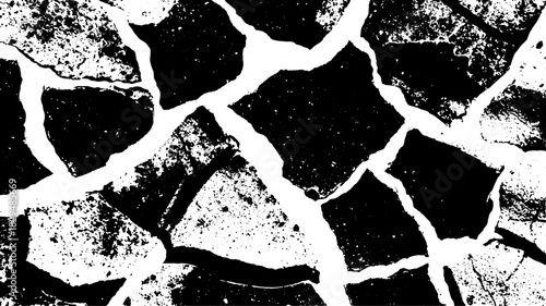 Black and white cracked texture with a grunge pattern. This vector illustration features a smooth and detailed design.